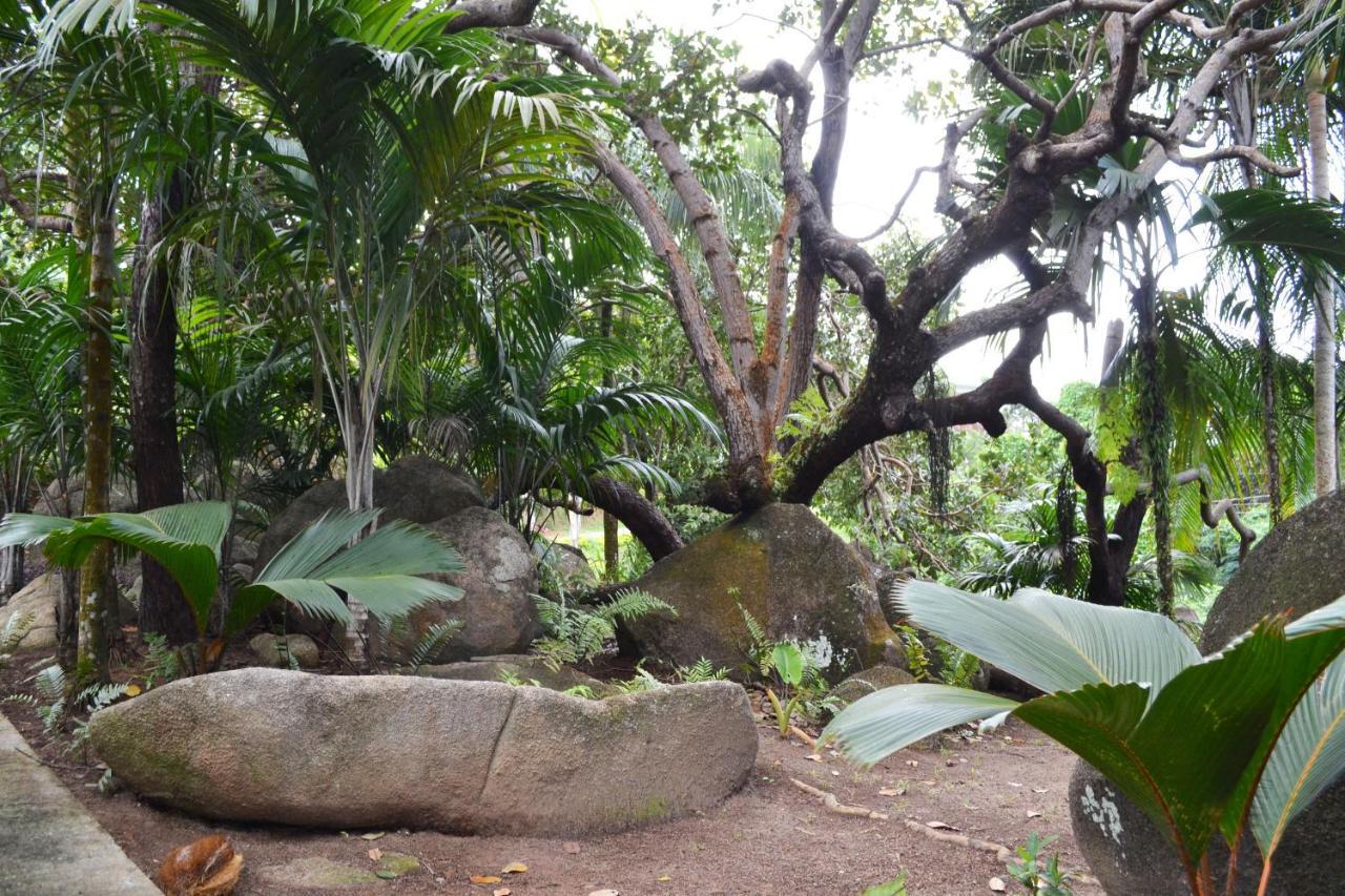 Cashew Nut Grove Chalets Port Glaud Buitenkant foto